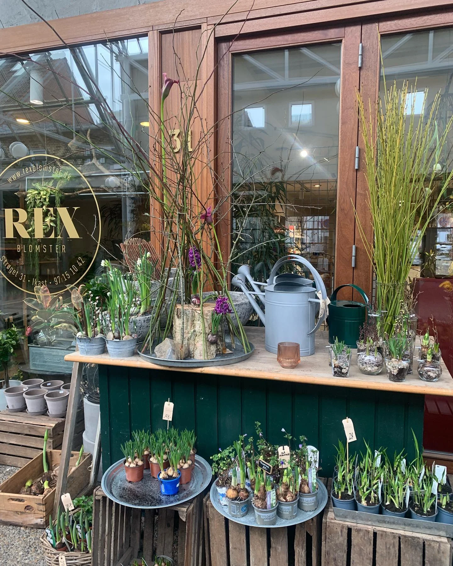 329380664_2447326652094301_5942011616681594297_n