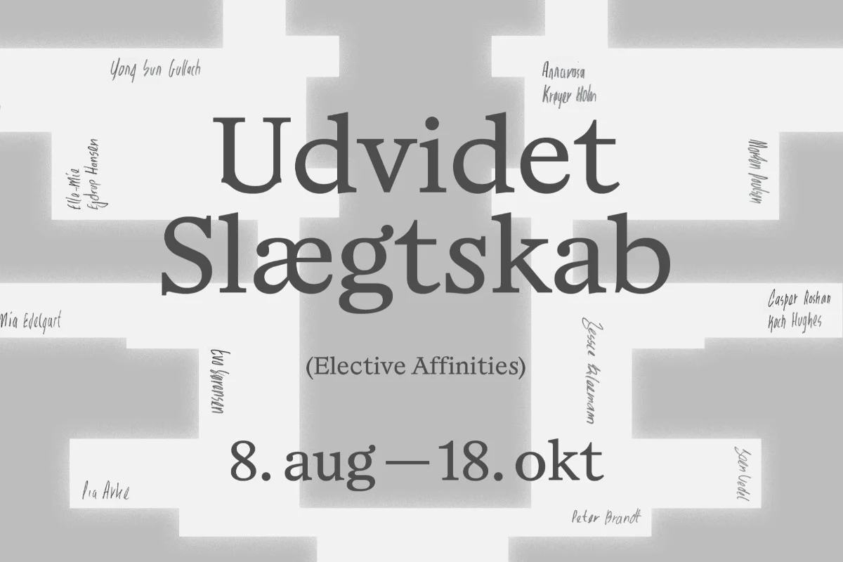 Det-Sker_20260808-1300_Fernisering-ud_id30480