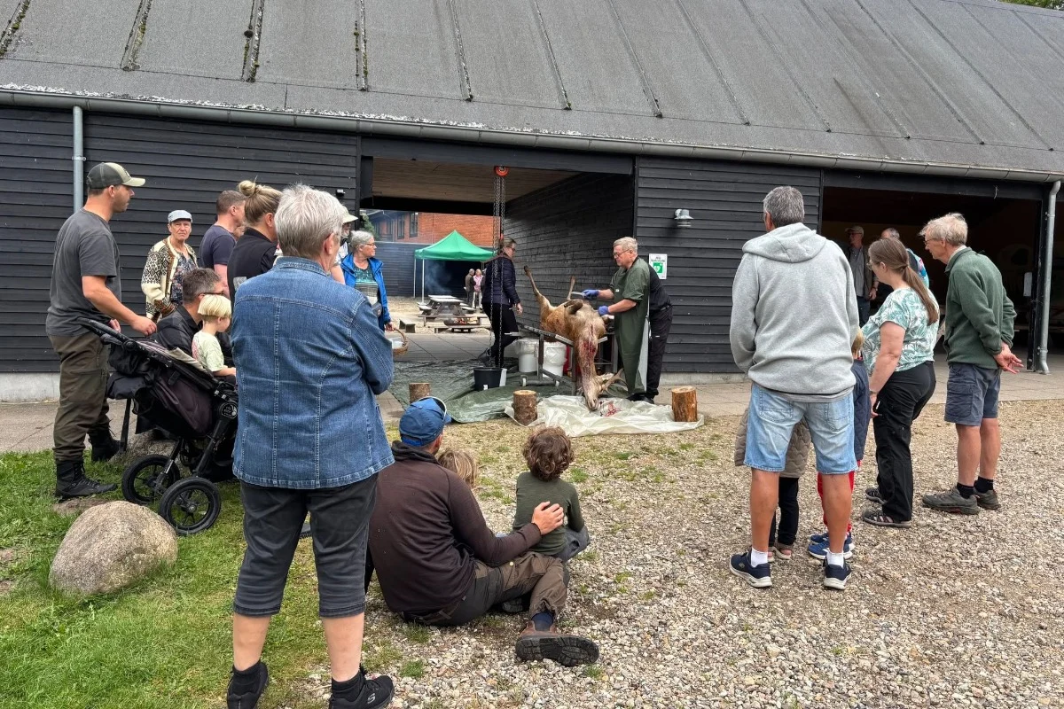 Det-Sker_20260830-1000_Harrild-Hede-Da_id30549