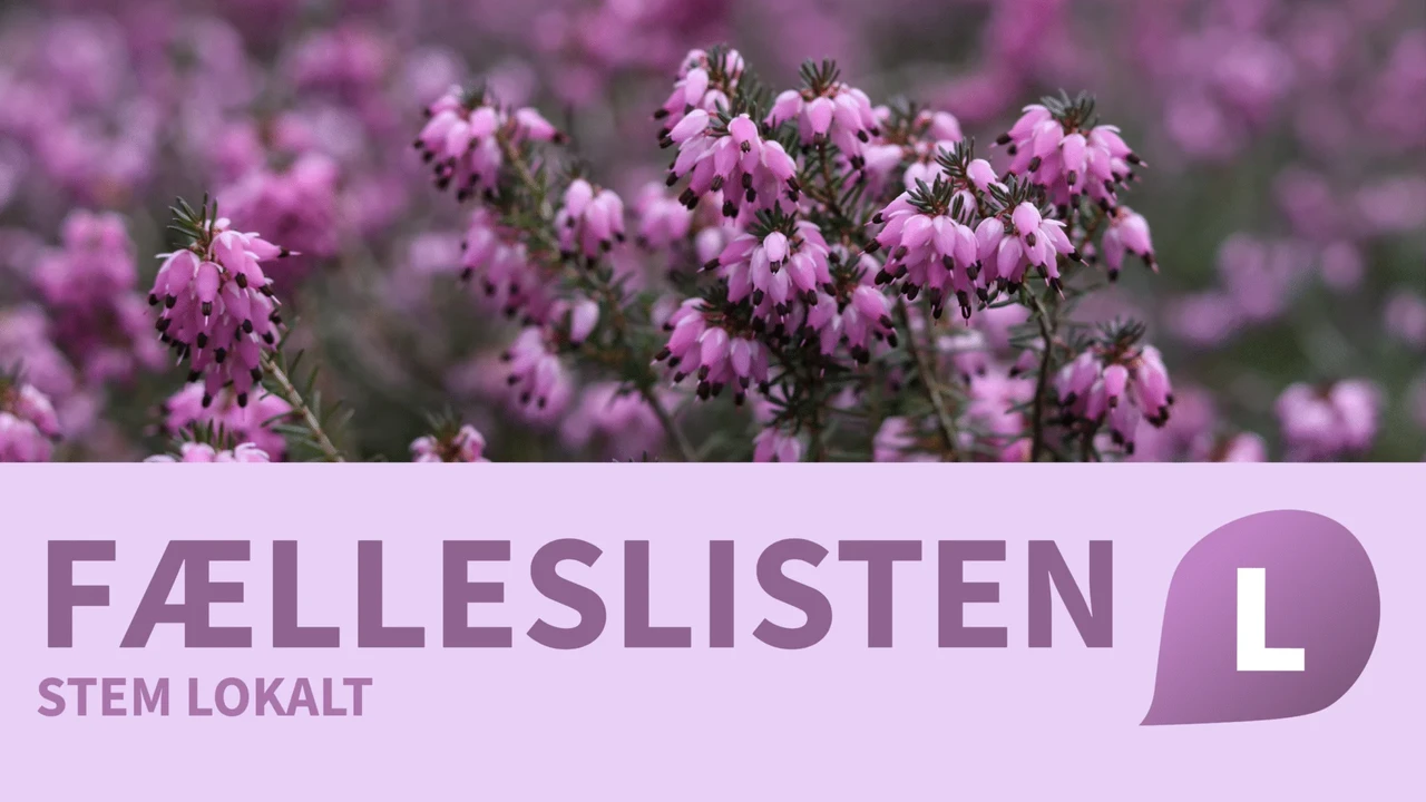 Medlem_Faelleslisten-Ikast-Brande_COVER_20260606-105513_1
