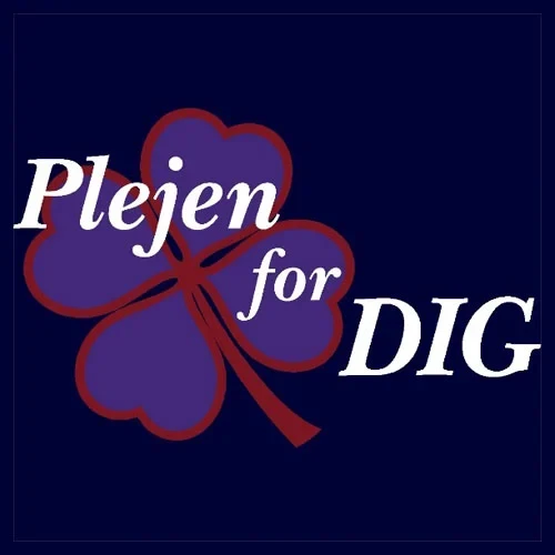 Plejen for DIG