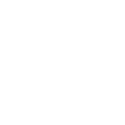 Profil Optik