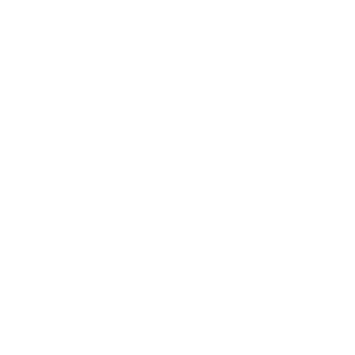 STS Biler 