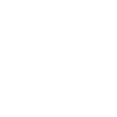 X-Company