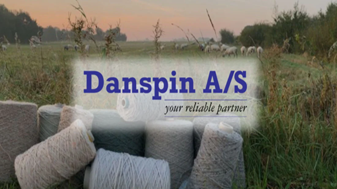 danspin_cover