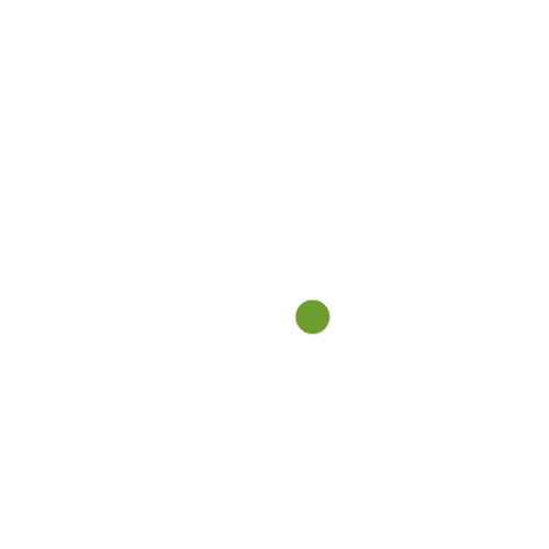 ikast-brande-gymnasium_logo
