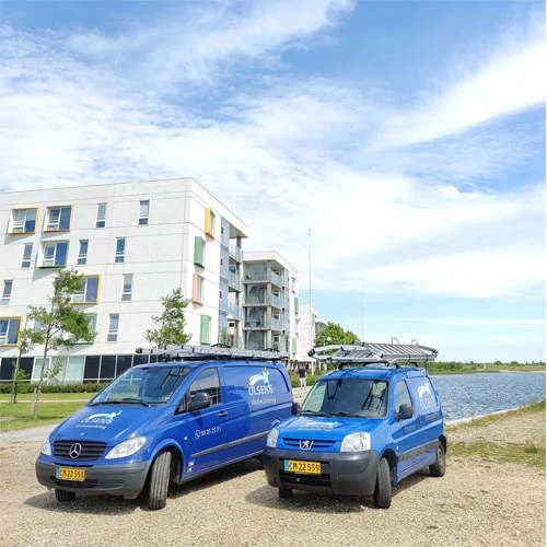 Oles Vinduespolering