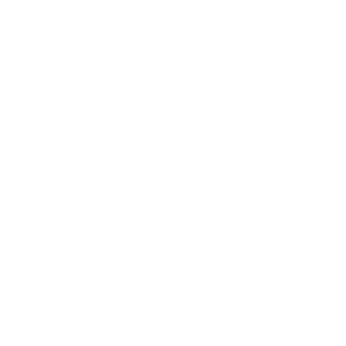 profil-optik_logo