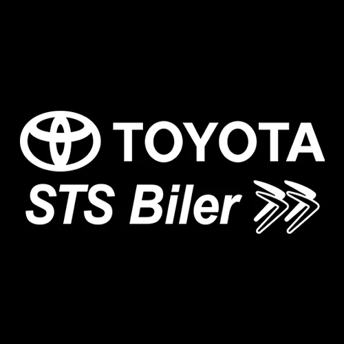 Billede til valgnummer 10