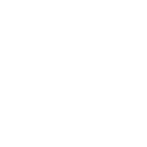 sts-biler_logo