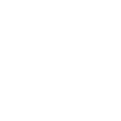 sts-biler_logo