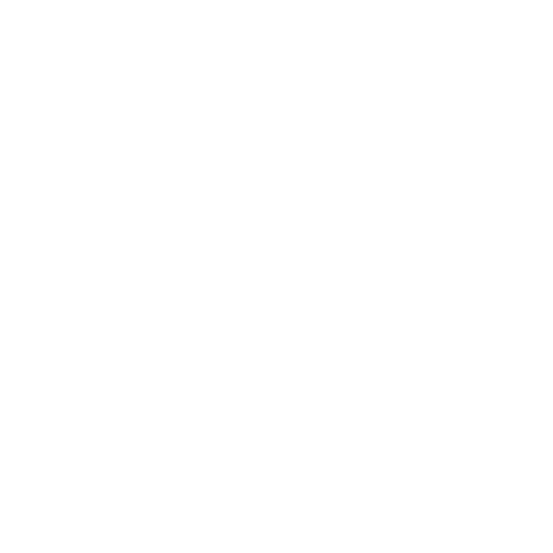 X-Company